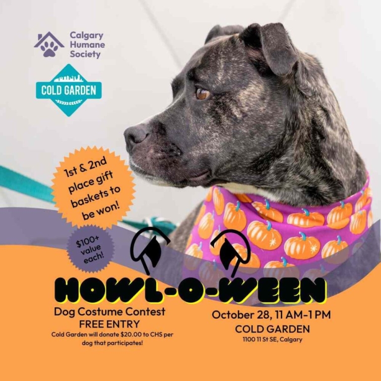 The Howl-O-Ween Dog Costume Contest - Cold Garden