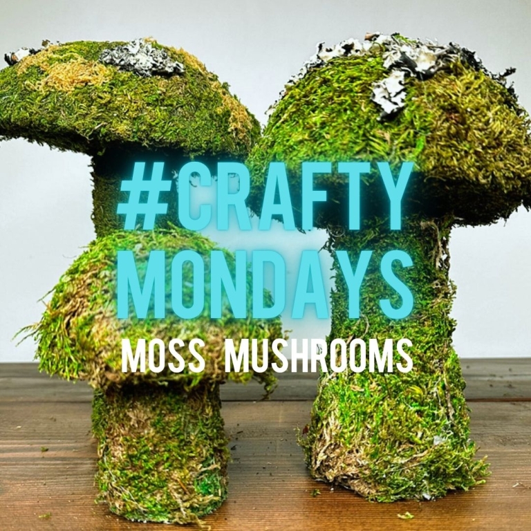crafty June 16th